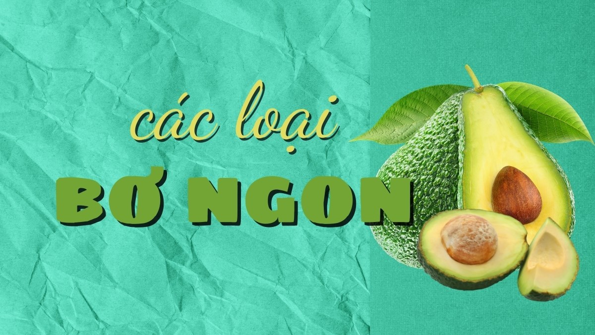 Tổng hợp tên các loại bơ