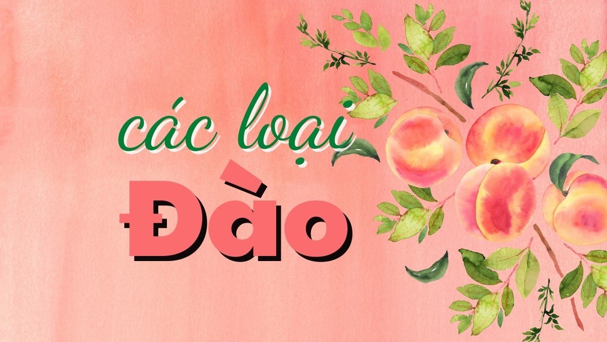 Các loại đào ăn quả