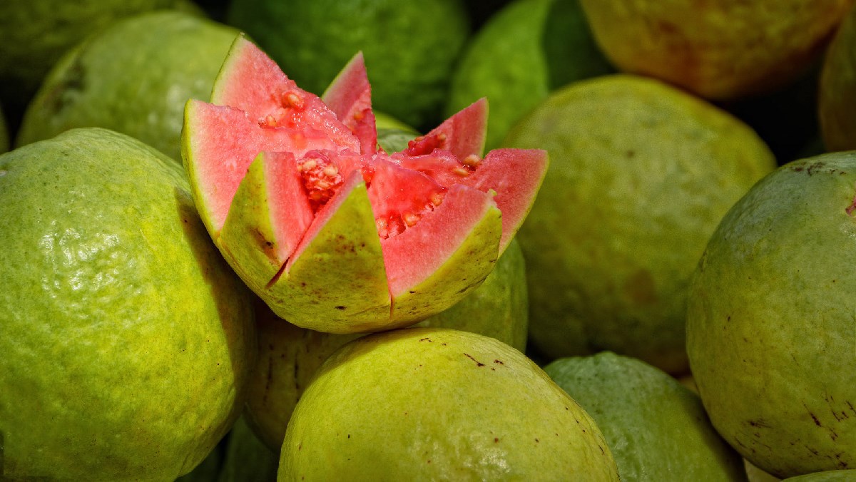 Các loại ổi