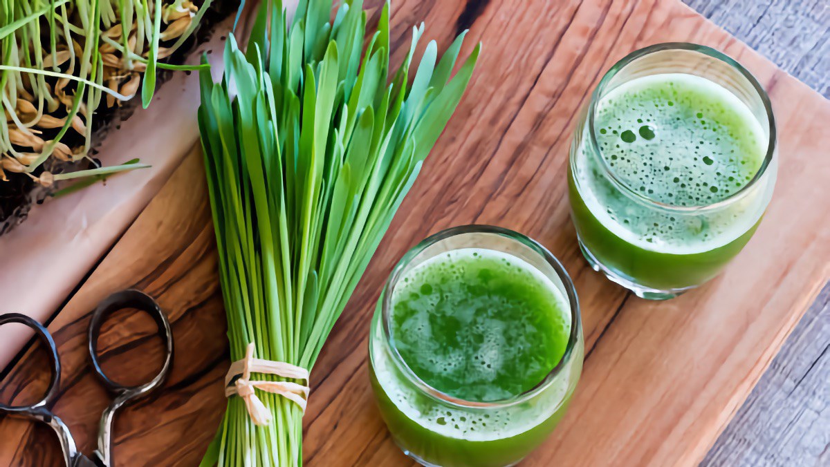 Cỏ lúa mì là gì và tác dụng