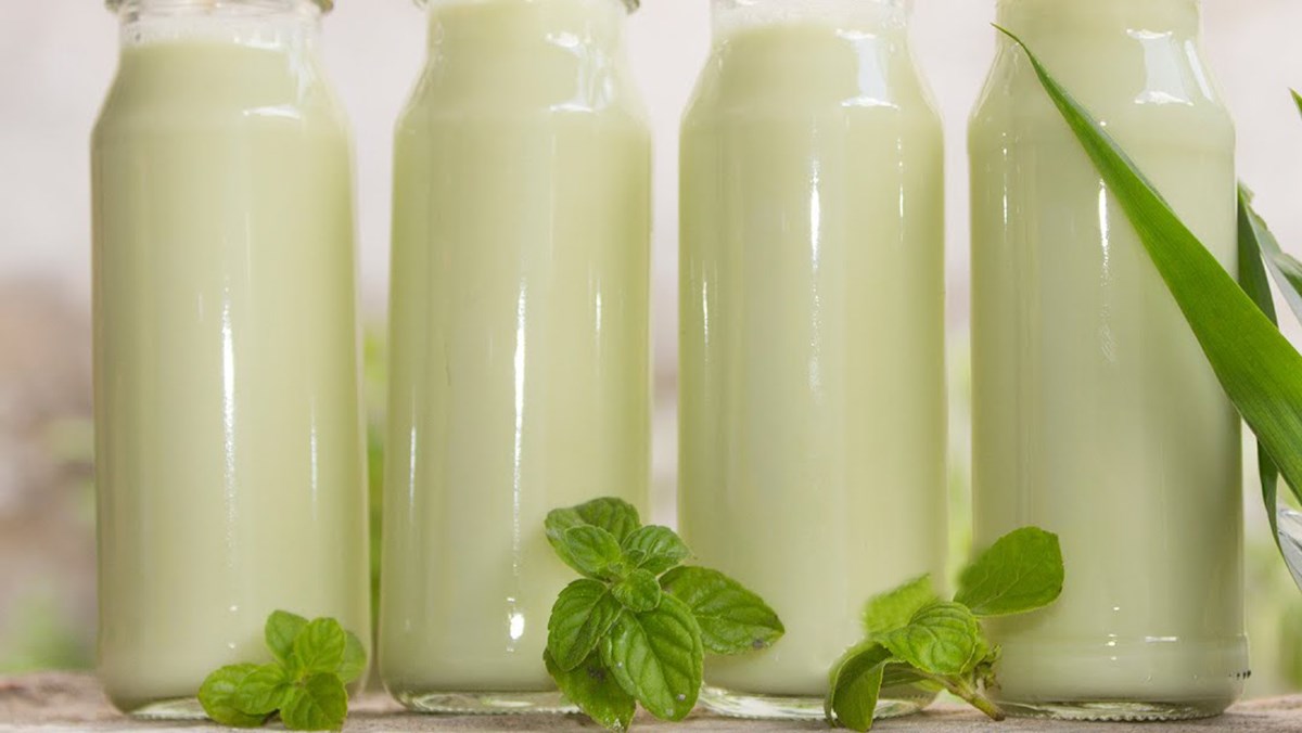 10 lợi ích sữa đậu nành bạc hà cho sức khỏe bạn cần biết