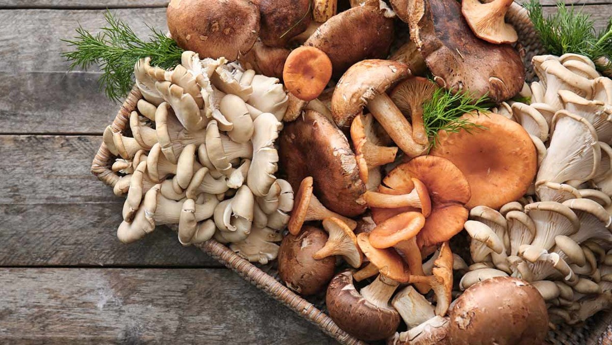 Tổng hợp các loại nấm ăn được và tác dụng của các loại nấm với sức khỏ