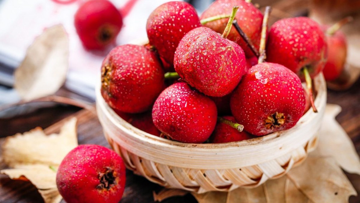 Tác dụng của quả sơn tra