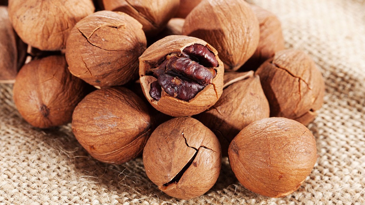 Hạt hickory là gì