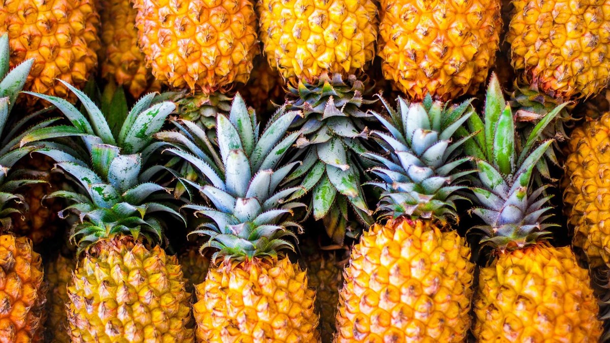 Dứa có tác dụng gì?