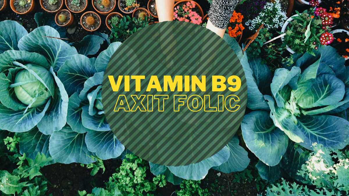 Vitamin B9 - axit folic, tác dụng và cách uống