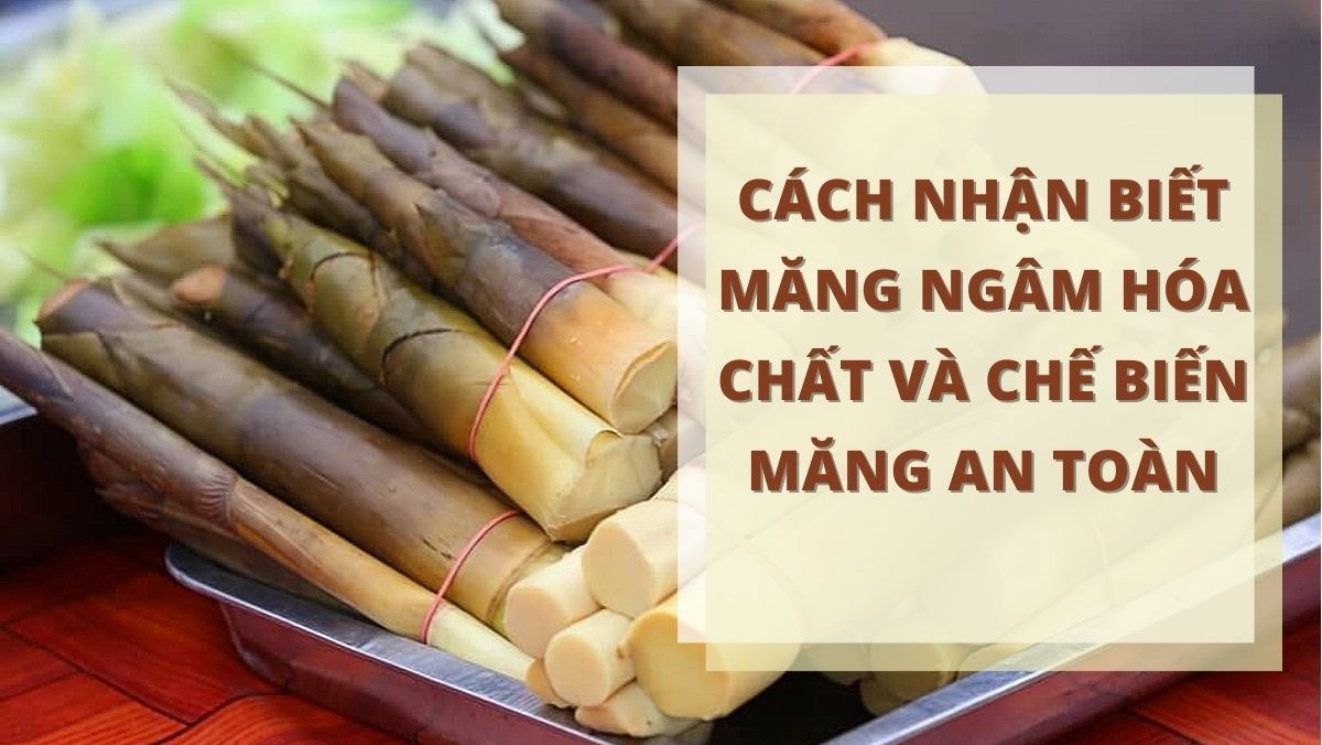Cách nhận biết măng và cách chế biến măng