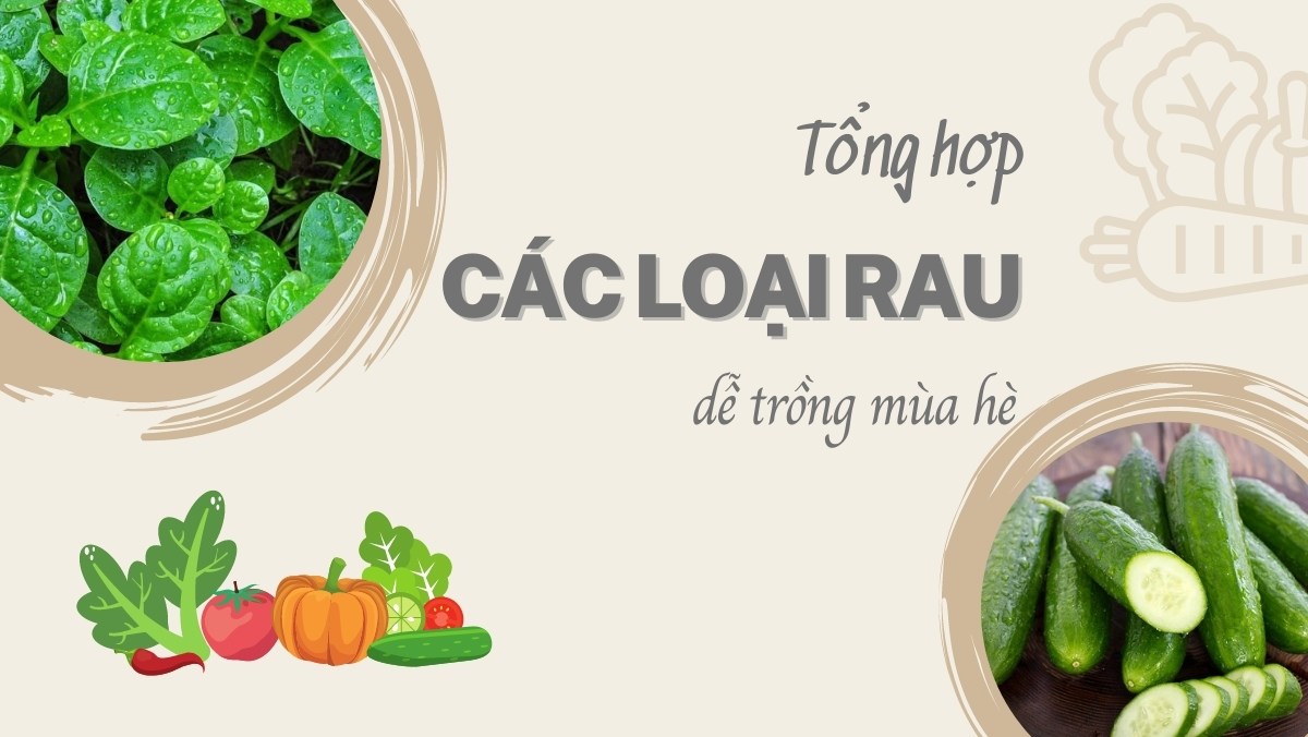 Các loại rau mùa hè
