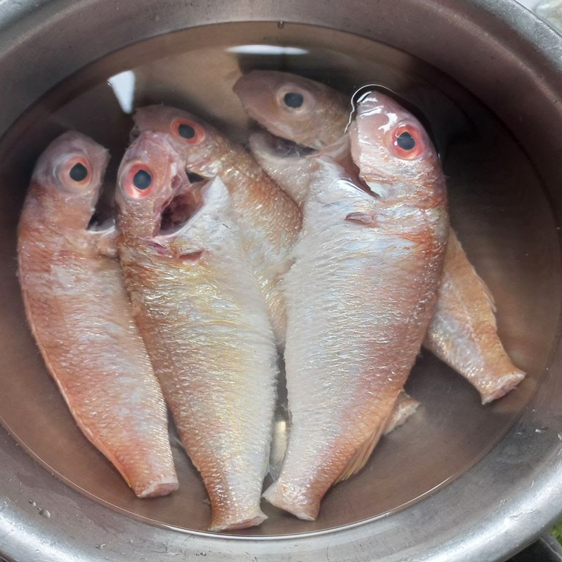 Bước 1 Sơ chế cá đổng (cá hường) Cá đổng chiên muối ớt