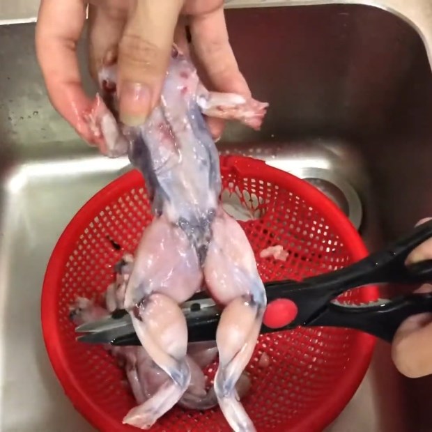 Bước 1 Sơ chế ếch Bánh canh ếch