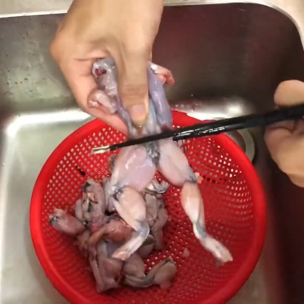 Bước 1 Sơ chế ếch Bánh canh ếch