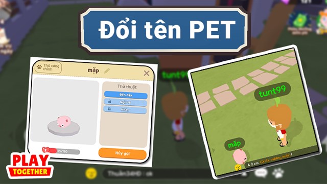 Cách đổi tên Pet, dắt Pet trong Play Together đơn giản