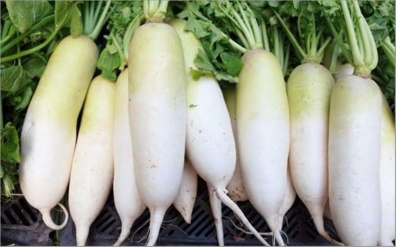 White radish