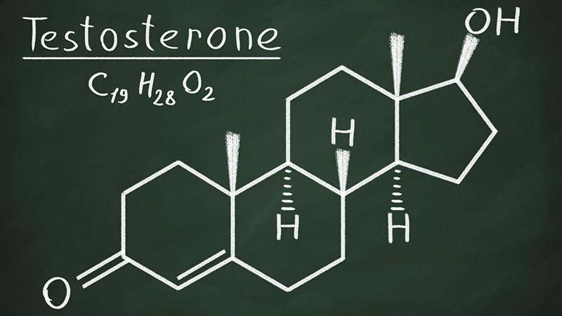 Testosterone là gì?