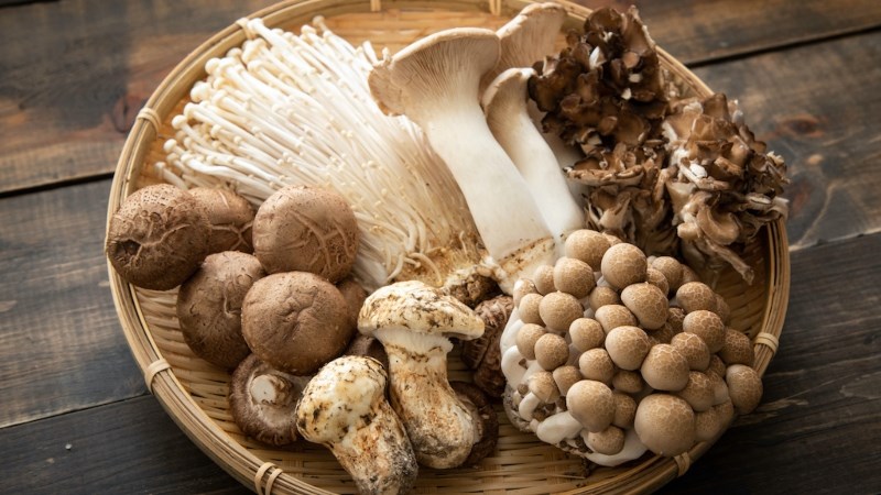 Ăn nấm c&oacute; b&eacute;o kh&ocirc;ng?