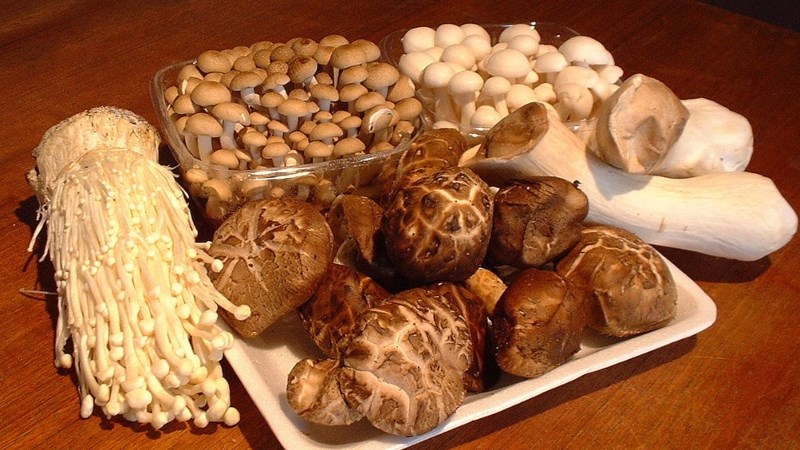 Ăn nấm c&oacute; b&eacute;o kh&ocirc;ng?