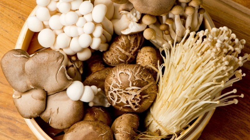 Nấm bao nhi&ecirc;u calo?