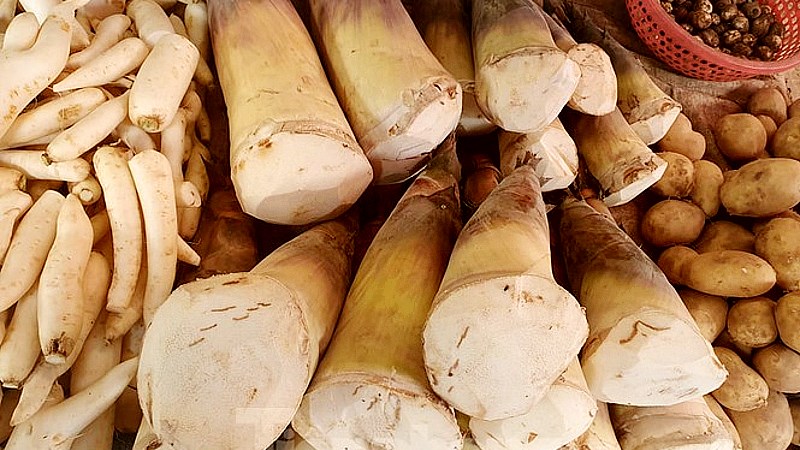 Măng ng&acirc;m h&oacute;a chất c&oacute; m&agrave;u sắc bất thường 