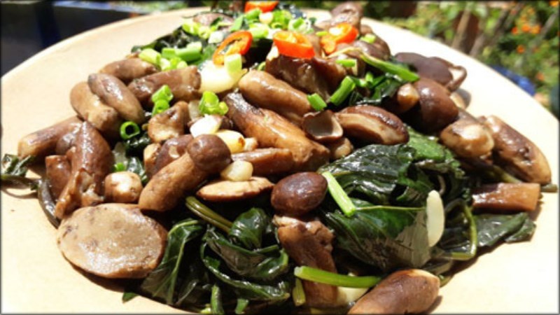 Nấm tràm