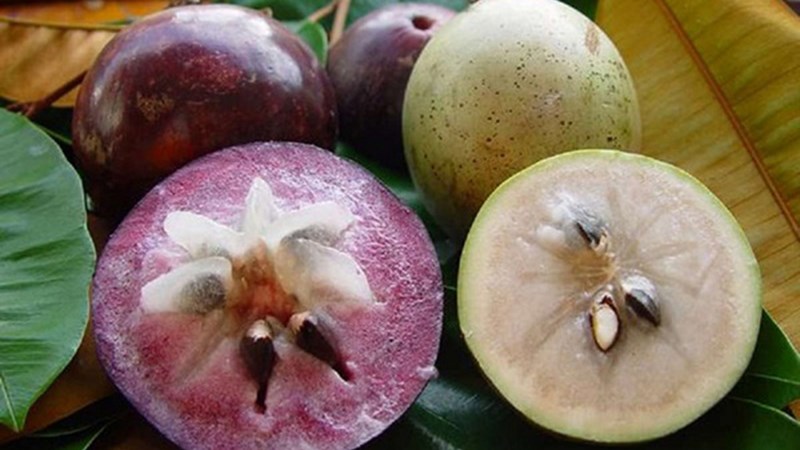 Vú sữa Lò Rèn