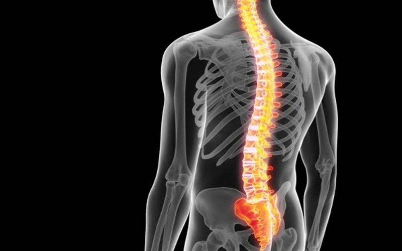 Có thể hỗ trợ xương chắc khỏe