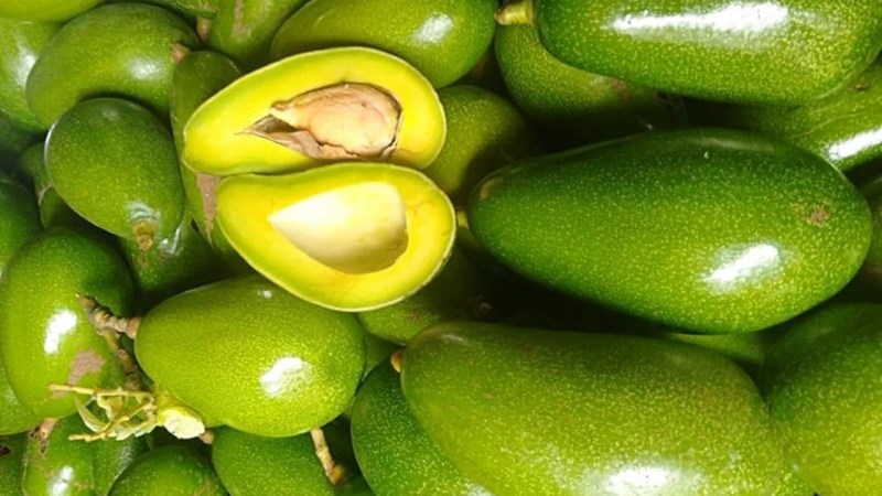 Bơ Trịnh Mười