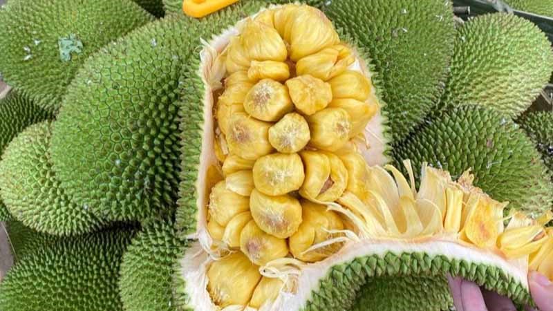 Mít tố nữ