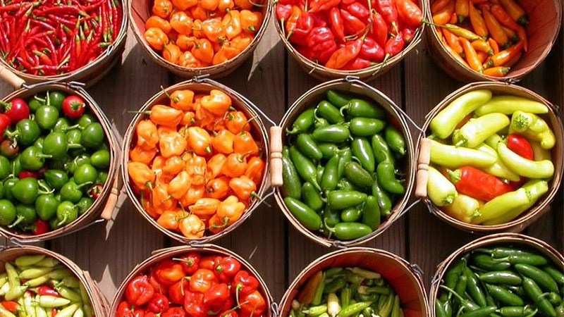 Các nhiều loại ớt nghỉ ngơi việt nam