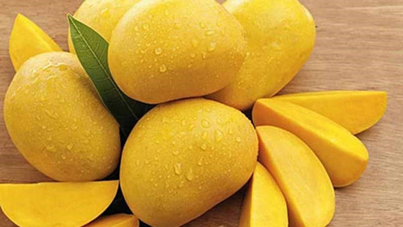 Xào Cao Lãnh Đồng Tháp