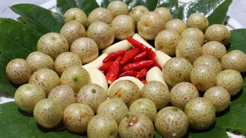 Mắc mật