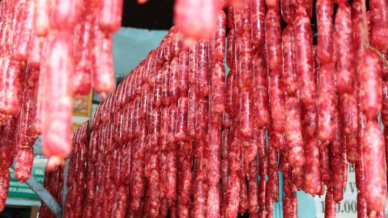 Tùng lò mò