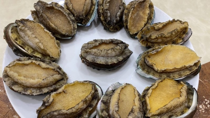 Bào ngư Hàn Quốc