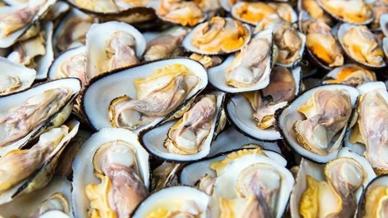 Sò dẹo