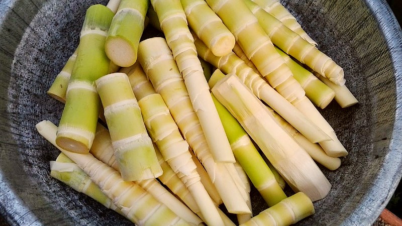 Măng ng&acirc;m sẽ c&oacute; độ b&oacute;ng bẩy bắt mắt