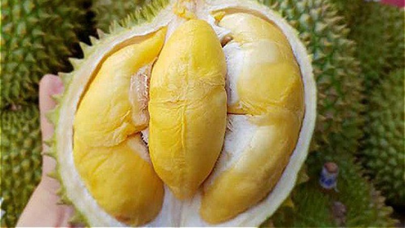 Sầu riêng Ngũ Hiệp