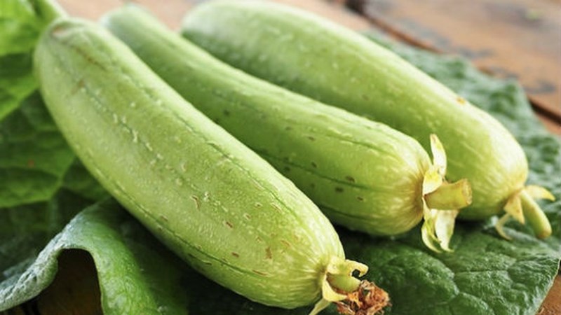 Mướp trâu