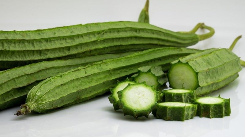Mướp khía