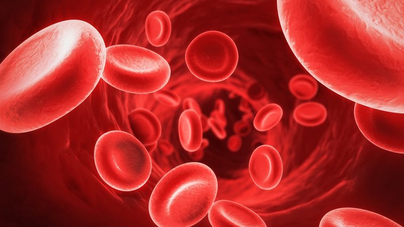 Tăng cường sản xuất tế bào hồng cầu