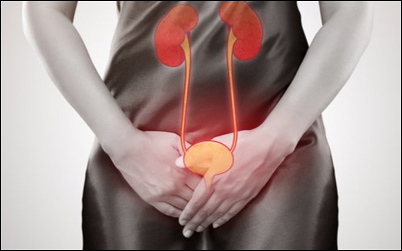 Phòng ngừa nhiễm trùng đường tiết niệu 