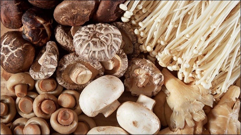 Nhấn vào ảnh để phóng to Nấm