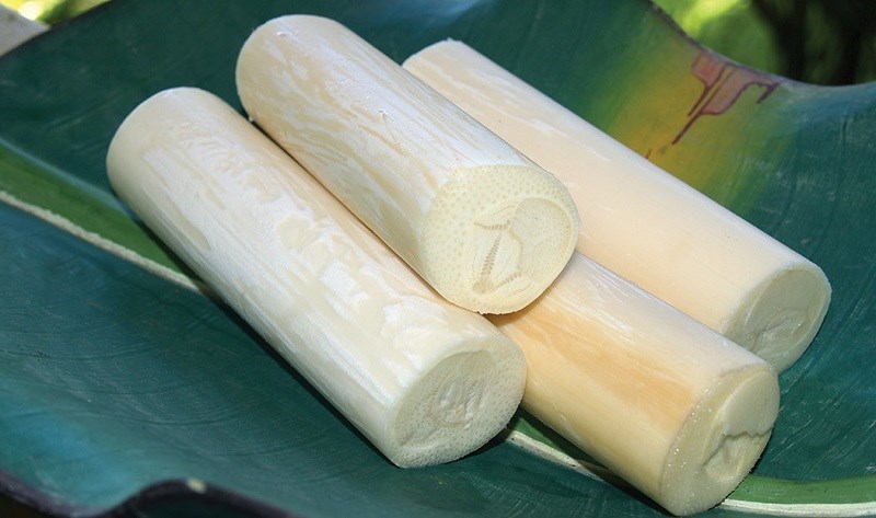Nhấn vào ảnh để phóng to Tâm cọ
