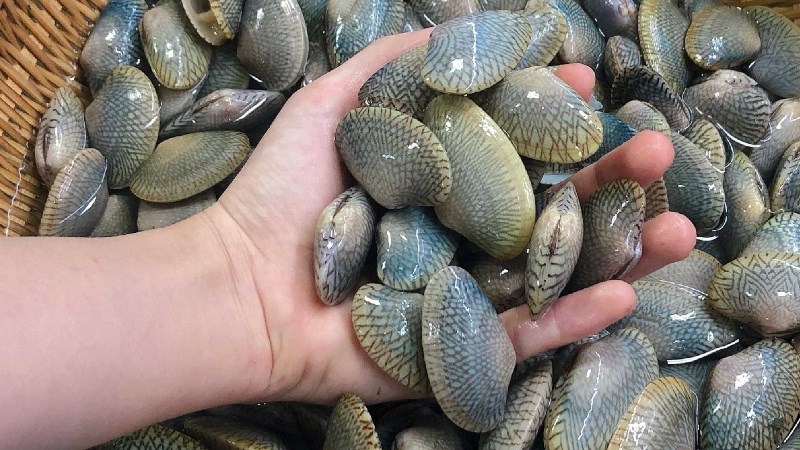 Sò lụa bóng