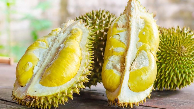 Sầu riêng Bảo Lộc