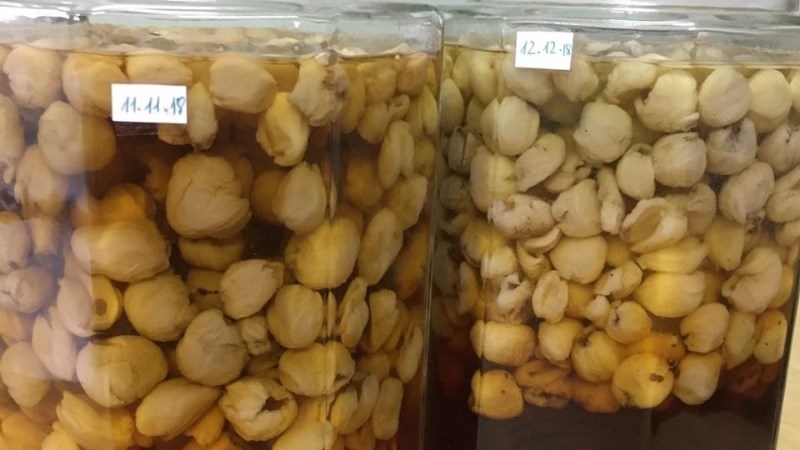 Rượu Long nhãn