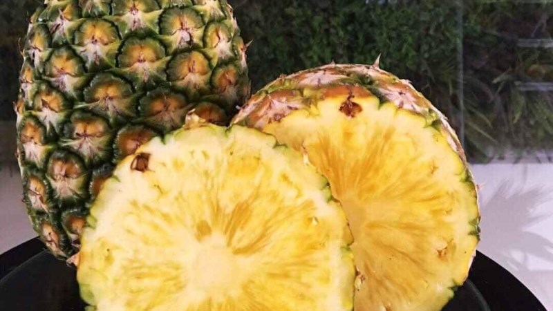 Dứa mật 