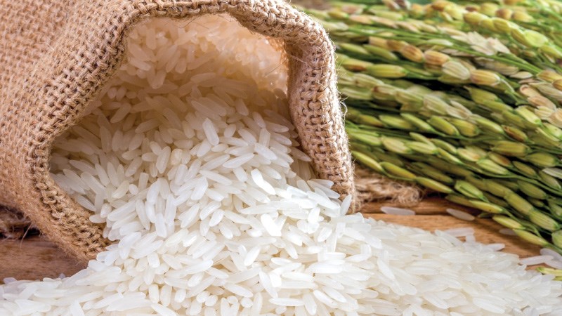 Gạo Tám Xoan Hải Hậu