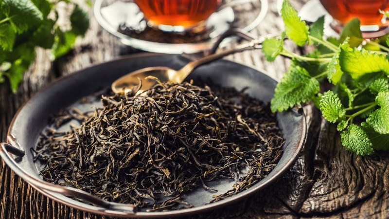 Trà đen Darjeeling, Ấn Độ