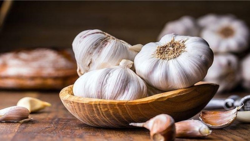 Tỏi