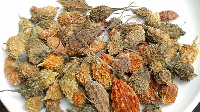 Khổ qua rừng chào bán sinh sống đâu