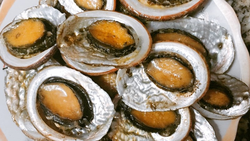 Bào ngư chín lỗ